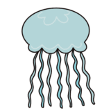 くらげ（クラゲ・海月）のイラスト素材