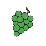 マスカットのイラスト素材